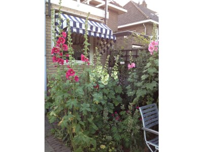 Holiday apartment Bella Rosa - Outdoor photo 6