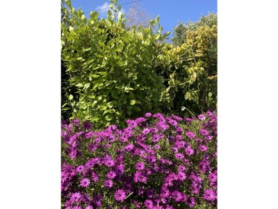 Villa DUXCAAR Saint Pabu - Environment photo 36