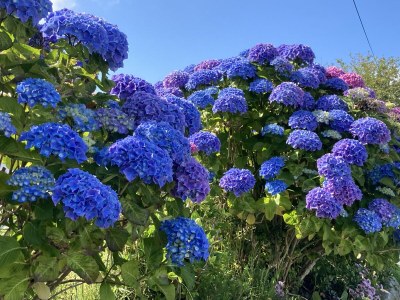 Villa DUXCAAR Saint Pabu - Environment photo 40