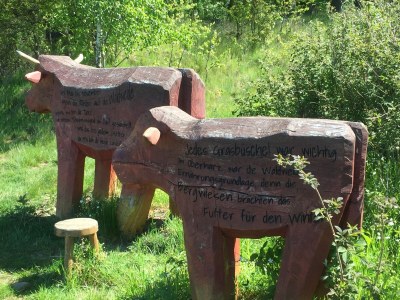 Holiday house Lodge at the lake - Environment photo 21