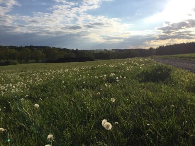 Holiday house Lodge at the lake - Environment photo 22