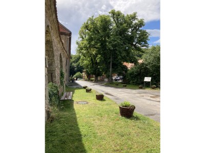 Holiday house Lodge at the lake - Environment photo 23