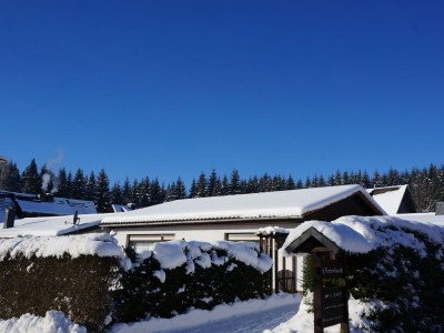 Holiday house Single location in quiet position in the wood - Outdoor photo 7