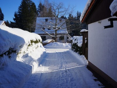 Holiday house Single location in quiet position in the wood - Outdoor photo 11