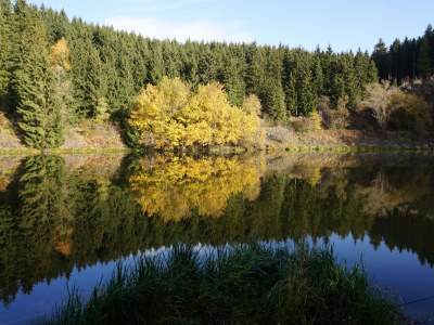 Holiday house Single location in quiet position in the wood - Environment photo 23