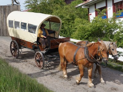 Holiday house Single location in quiet position in the wood - Environment photo 25