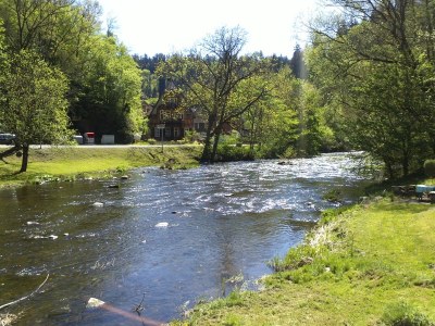 Holiday house Single location in quiet position in the wood - Environment photo 27