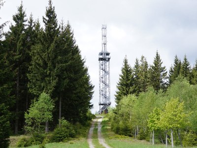 Holiday house Single location in quiet position in the wood - Environment photo 28