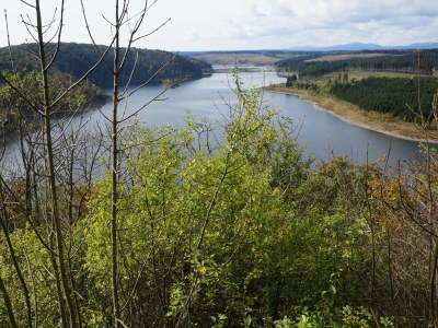 Holiday house Single location in quiet position in the wood - Environment photo 31