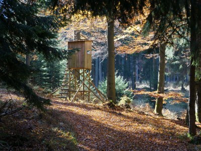 Holiday house Single location in quiet position in the wood - Environment photo 33