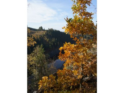 Holiday house Single location in quiet position in the wood - Environment photo 36