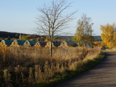 Holiday house Single location in quiet position in the wood - Environment photo 37