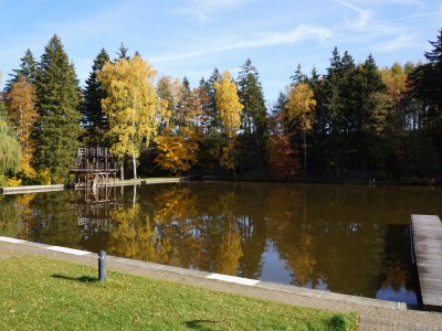 Holiday house Single location in quiet position in the wood - Environment photo 39