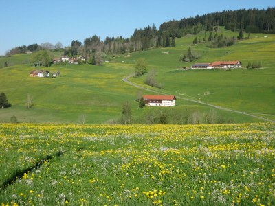 Apartment Ferienwohnung - Outdoor photo 9