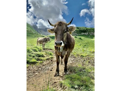 Apartment Ferienwohnung - Outdoor photo 10