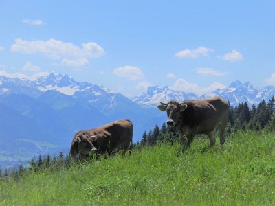 Apartment Ferienwohnung - Outdoor photo 13