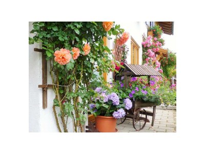 Apartment Ferienwohnung - Outdoor photo 14