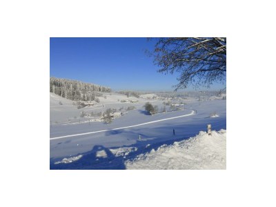 Apartment Ferienwohnung - Outdoor photo 19