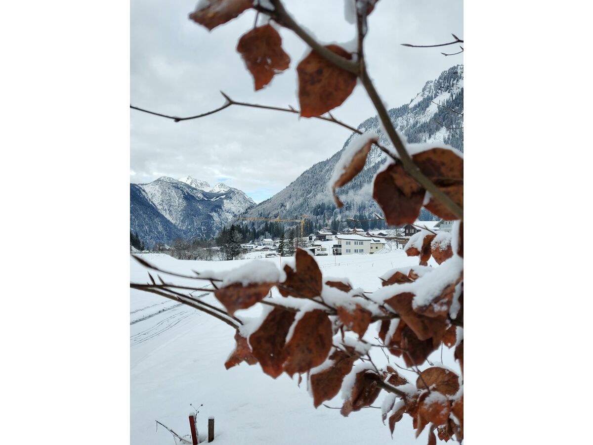 Apartment Apartment Erdgeschoss - Outdoor photo 3