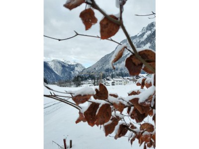 Apartment Apartment Erdgeschoss - Outdoor photo 3