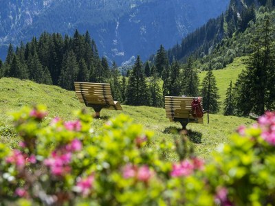 Apartment Apartment Erdgeschoss - Outdoor photo 24