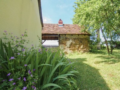Holiday house Ruhiges Ferienhaus in Savignac - Outdoor photo 9