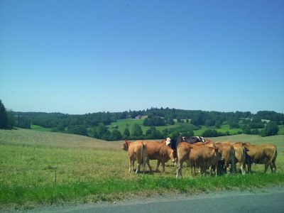 Holiday house Ruhiges Ferienhaus in Savignac - Environment photo 18