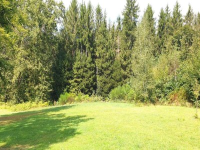 Holiday house Ruhiges Ferienhaus in Savignac - Environment photo 28