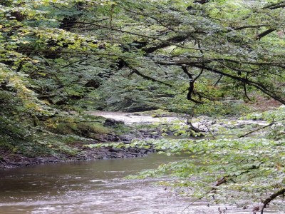 Holiday house Ruhiges Ferienhaus in Savignac - Environment photo 30