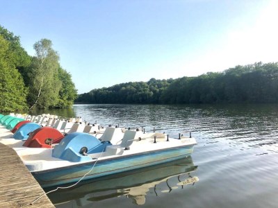 Holiday house Ruhiges Ferienhaus in Savignac - Environment photo 32