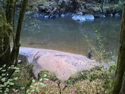 Holiday house Ruhiges Ferienhaus in Savignac - Environment photo 35