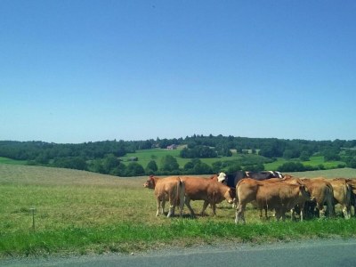 Holiday house Ruhiges Ferienhaus in Savignac - Environment photo 36