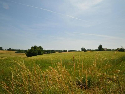 Holiday house Ruhiges Ferienhaus in Savignac - Environment photo 37