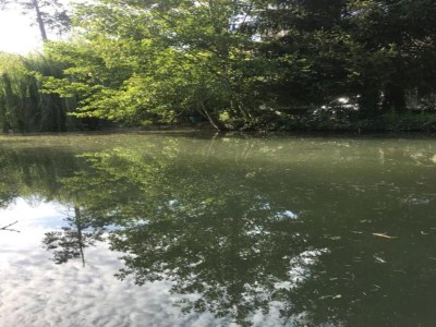 Holiday house Ferienhaus in Loubigné mit Pool & Terrasse - Environment photo 26