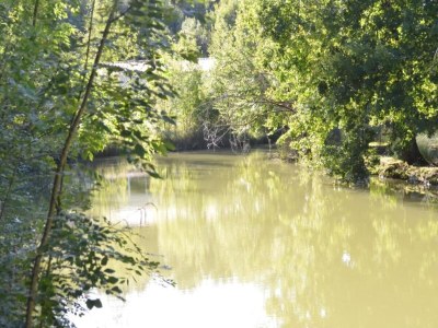 Holiday house Ferienhaus in Loubigné mit Pool & Terrasse - Environment photo 34