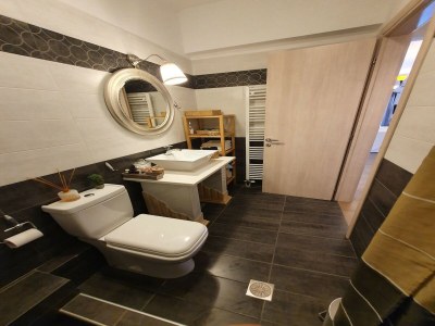 Villa Apartment in Loutra Elenis with Garden - Features photo 12