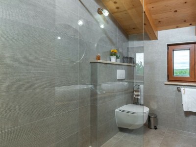 Villa Villa Vias Oliveti - near Vižinada - Features photo 12