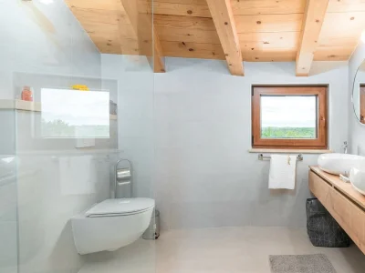 Villa Villa Vias Oliveti - near Vižinada - Features photo 16