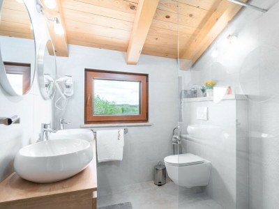 Villa Villa Vias Oliveti - near Vižinada - Features photo 21