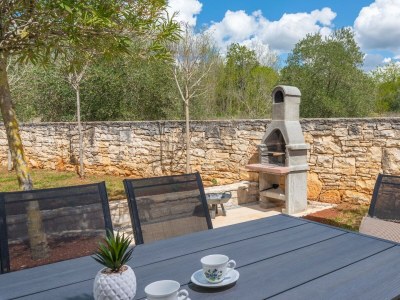 Villa Diana  near Višnjan - Environment photo 30