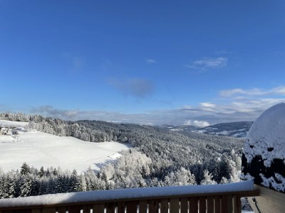 Alpine hut Andi's Mountain Hut - Outdoor photo 18