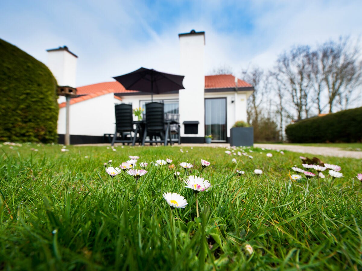 Holiday apartment Texel island with fireplace and shower, pets allowed - Outdoor photo 2