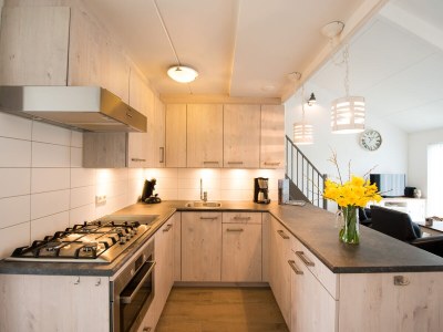 Holiday apartment Texel island with fireplace and shower, pets allowed - Outdoor photo 9