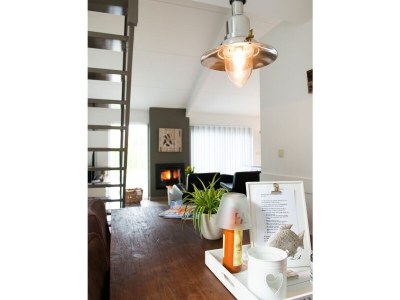 Holiday apartment Texel island with fireplace and shower, pets allowed - Outdoor photo 16