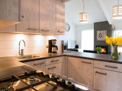 Holiday apartment Texel island with fireplace and shower, pets allowed - Features photo 21