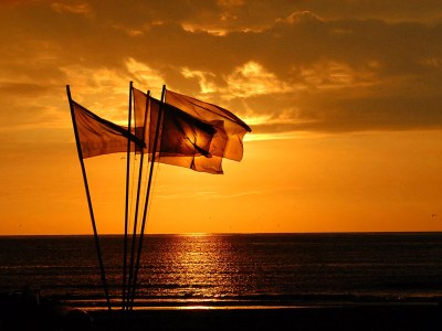 Holiday apartment Texel island with fireplace and shower, pets allowed - Environment photo 32