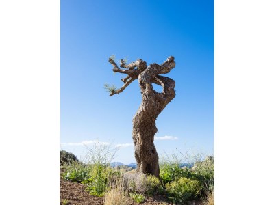 Villa Seacrete - Environment photo 40