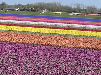 Holiday house Strandvilla Juliana - Outdoor photo 6