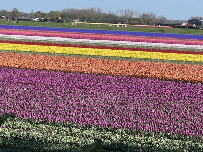 Holiday house Strandvilla Juliana - Environment photo 16