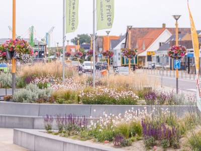 Holiday house Op 't Oog Callantsoog 8 pers - Environment photo 31